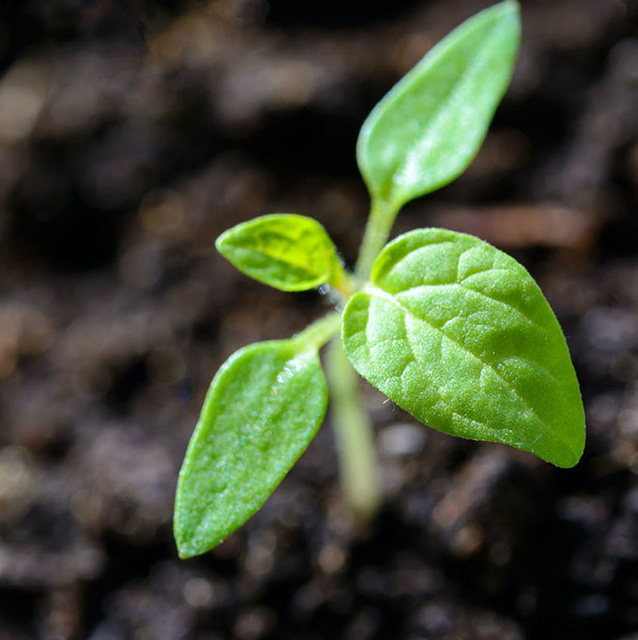 土壤檢測(cè)解決方案